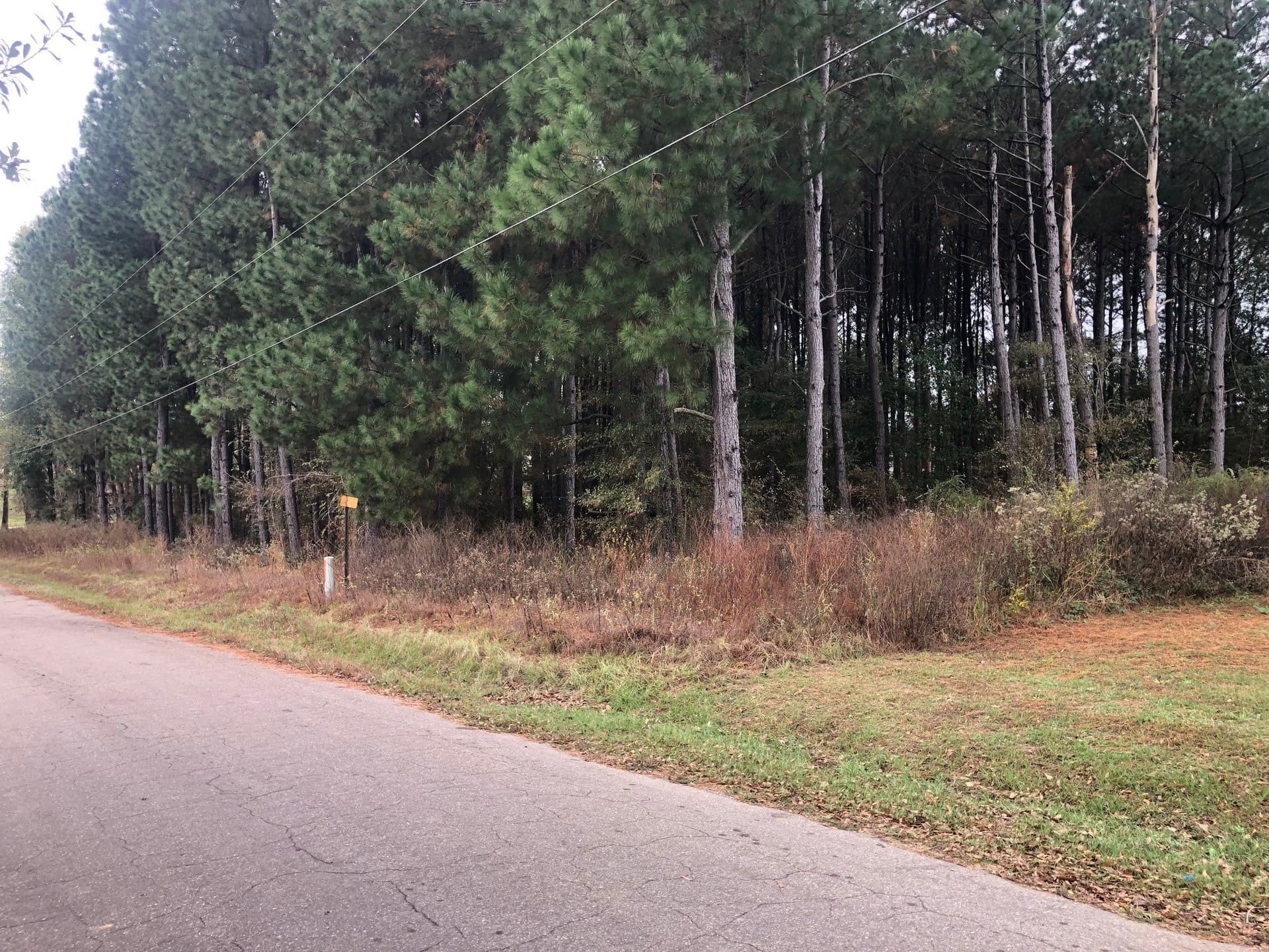 0.9 acres in Camp County