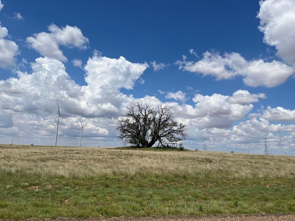 12.73 acres in Scurry County