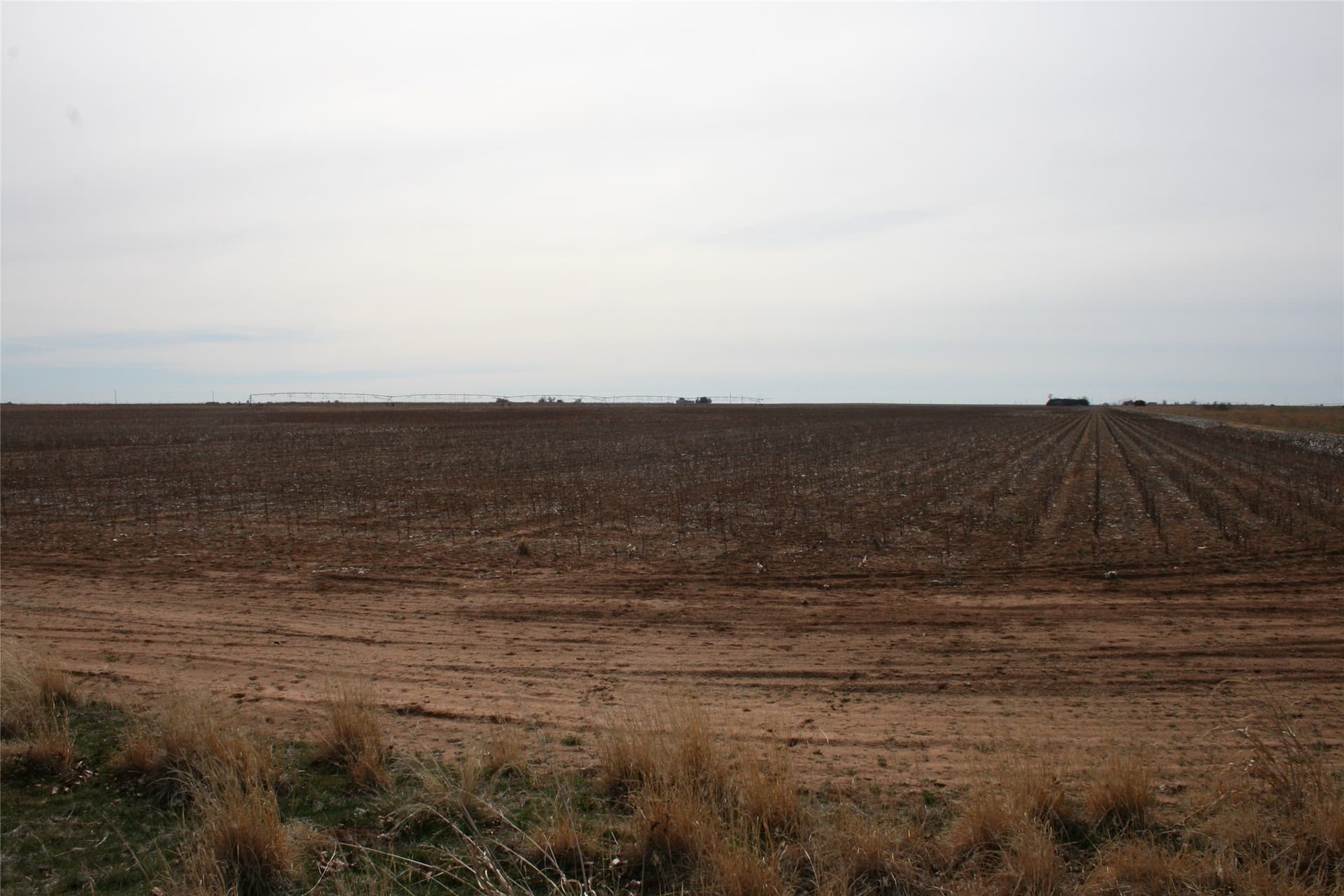 198.99 acres in Knox County
