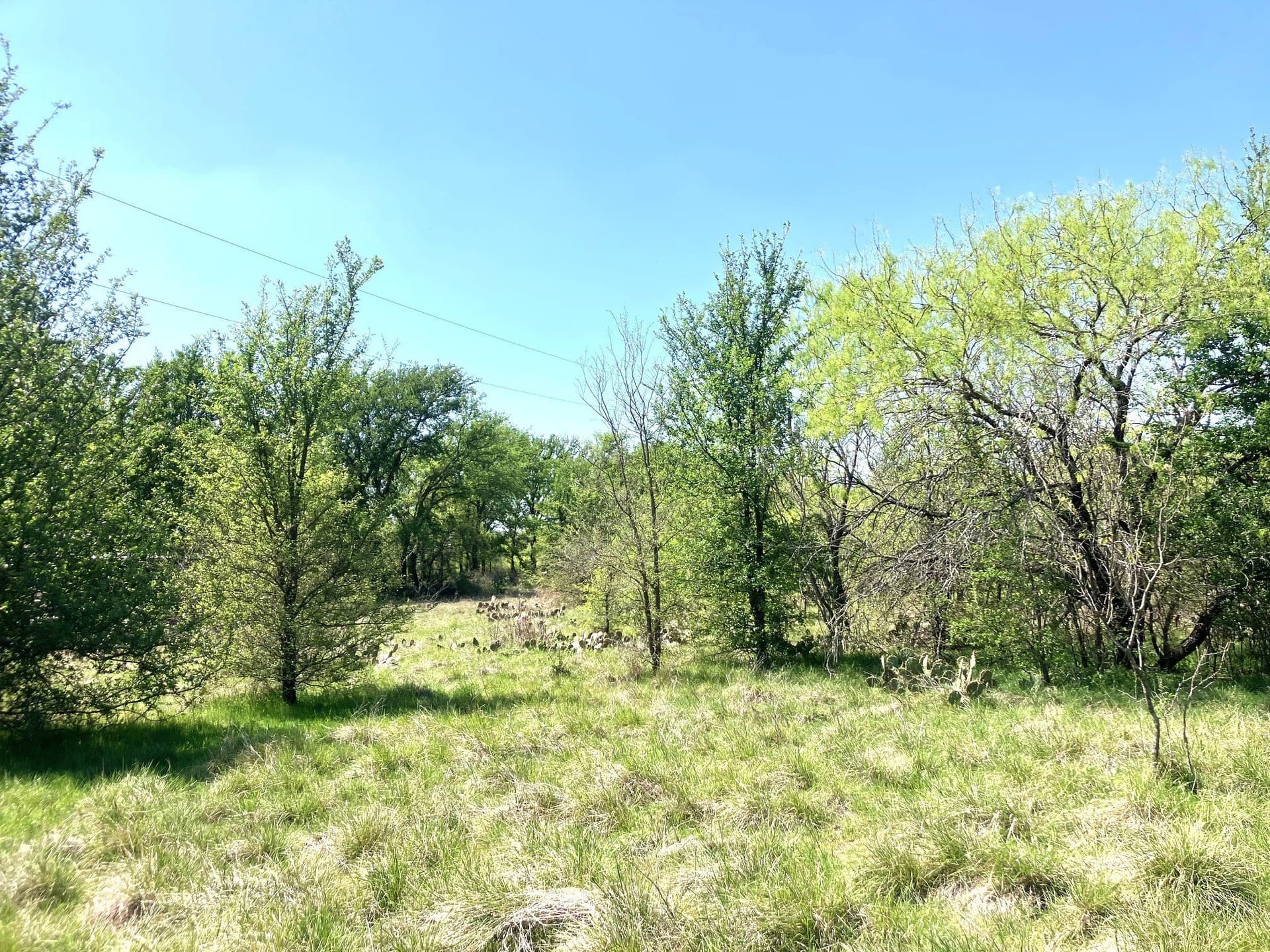 3 acres in Comanche County