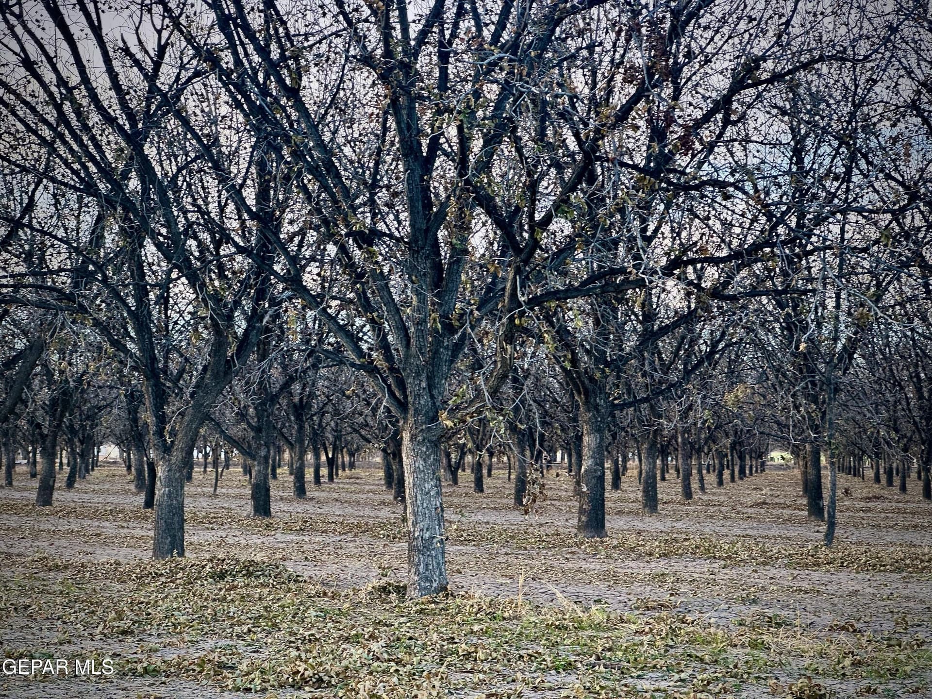 52.71 acres in El Paso County