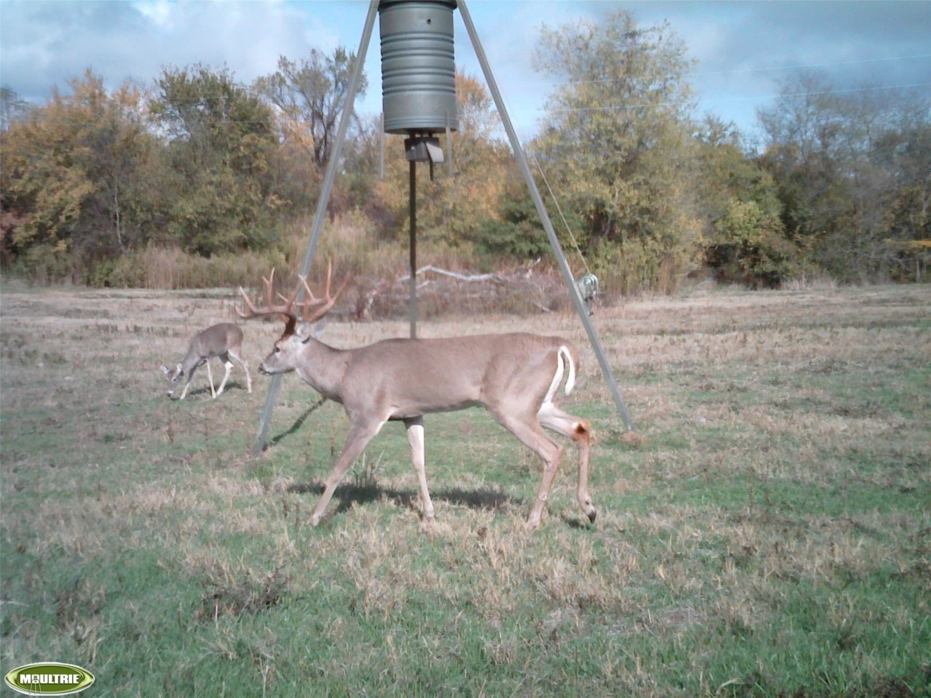 57 acres in Hopkins County