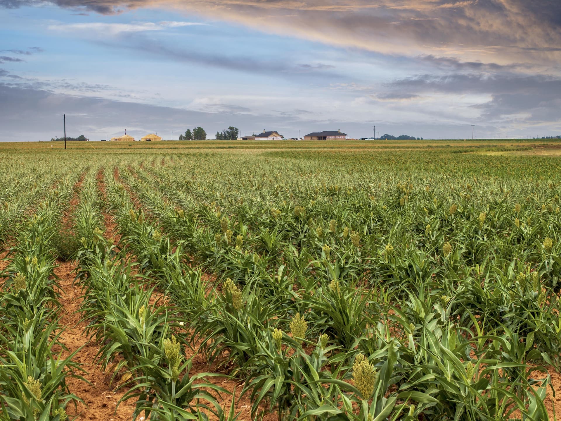 11.04 acres in Hockley County