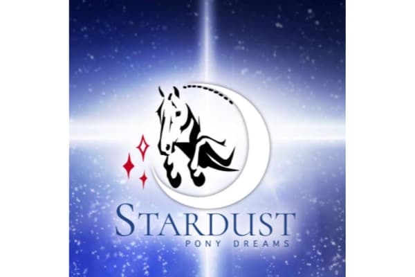 Stardust Pony Dreams
