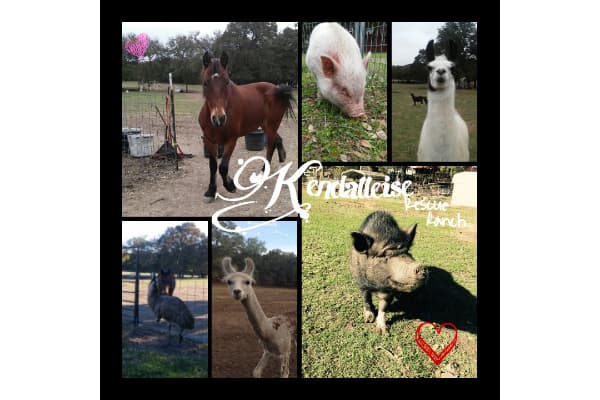 Kendalleise Ranch Rescue Inc