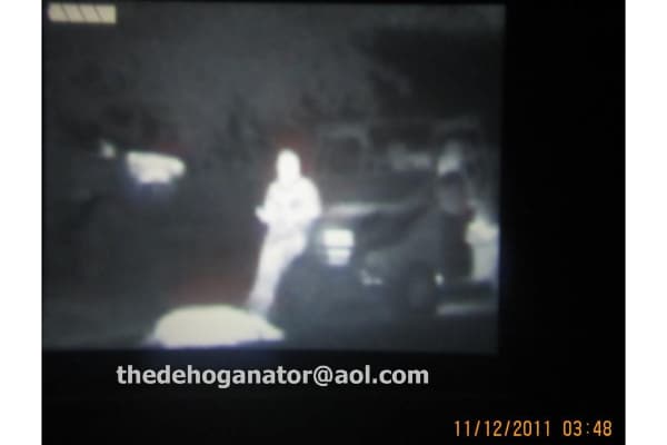 Dehoganator Hog Hunting