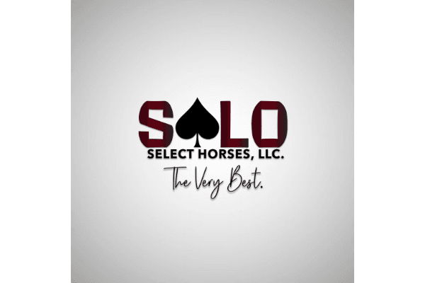 Solo Select Horses