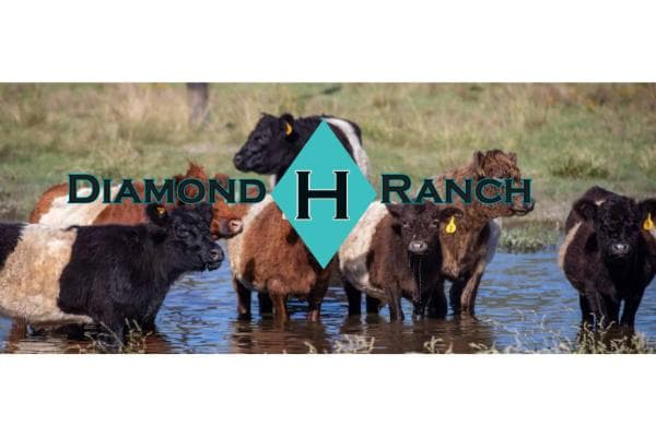 Diamond H Ranch