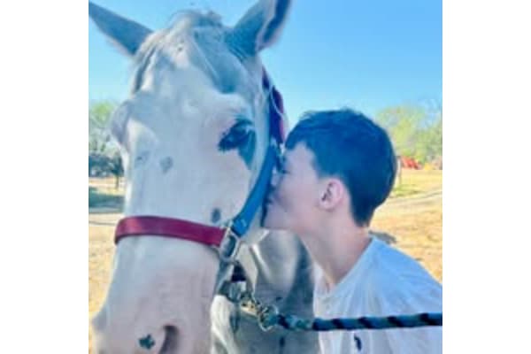 Equessense Therapeutic