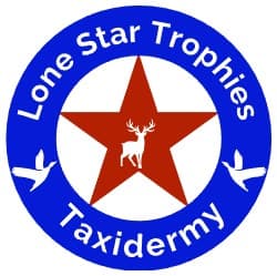 Lone Star Trophies Taxidermy