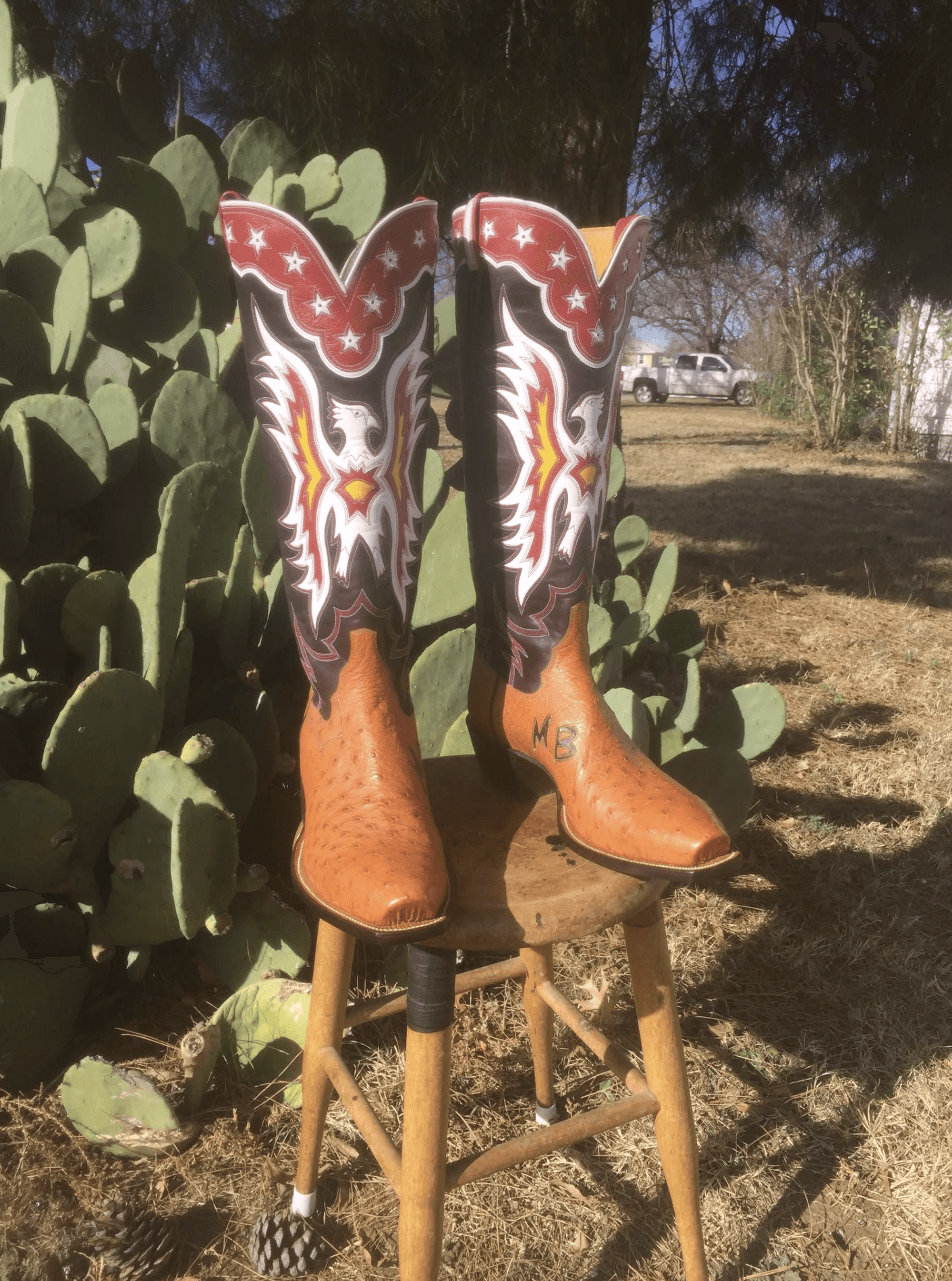Tex Robin Custom Handmade Boots gallery 3