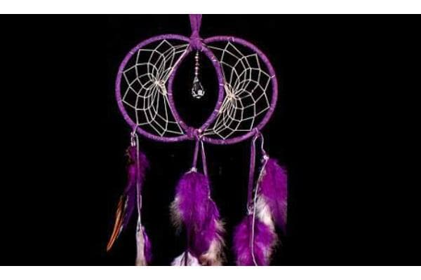 Dreamcatcher Horse Boarding and Training