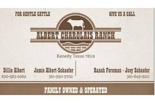 Albert Charolais Ranch