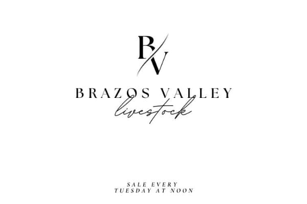 Brazos Valley Livestock