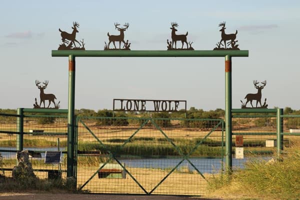 Lone Wolf Whitetails