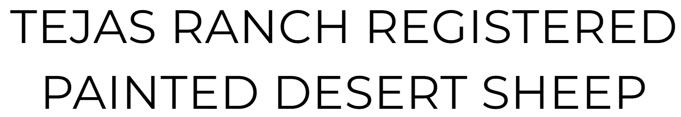Tejas Ranch Painted Desert Sheep & Goats