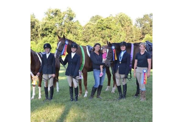 Cornerstone Sport Horses