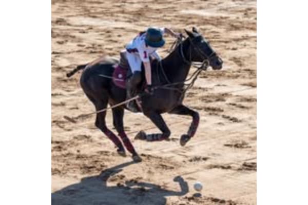 Texas A&M Polo Club Stables