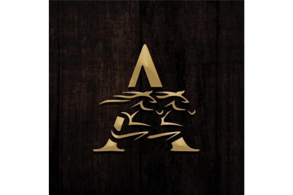 Arroyo country boots