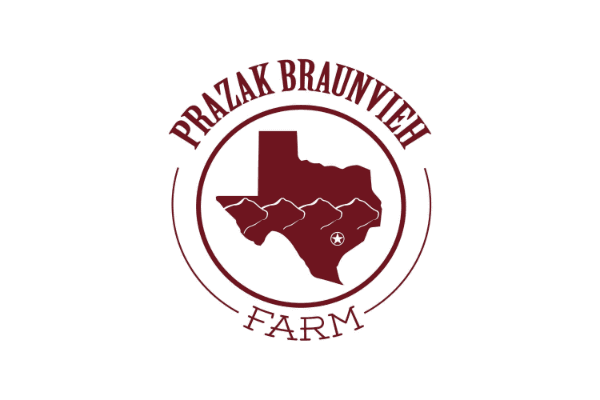 Prazak Braunvieh Farm