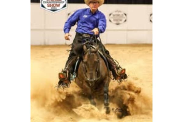 Randy Schurig Performance Horses