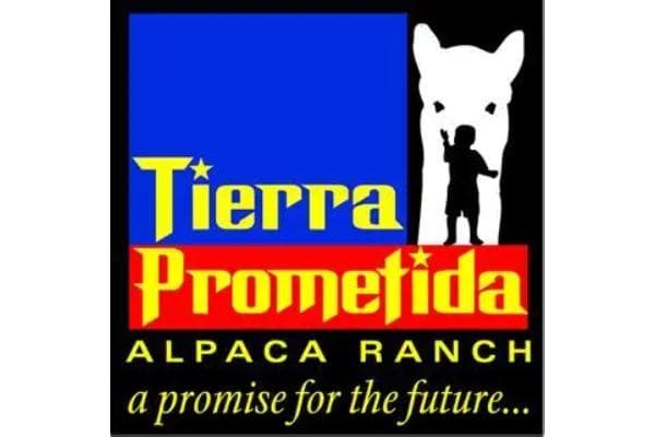 Tierra Prometida Alpaca Ranch