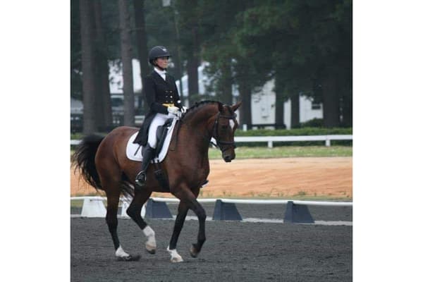 TM Dressage and Horse Boarding