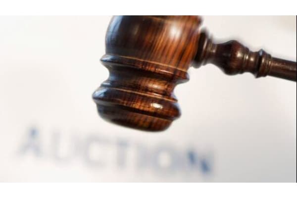 LloydMaysAuctions.com LLC