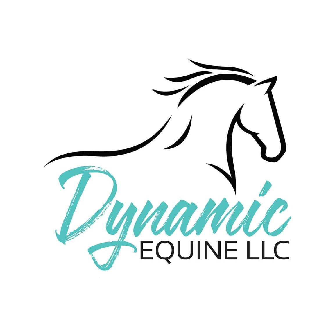 Dynamic Equine LLC