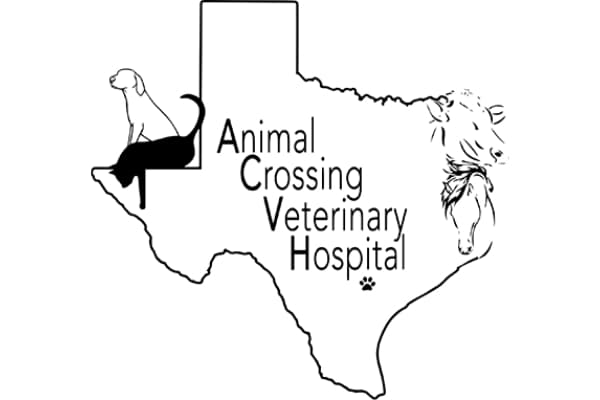 Animal Crossing Veterinary