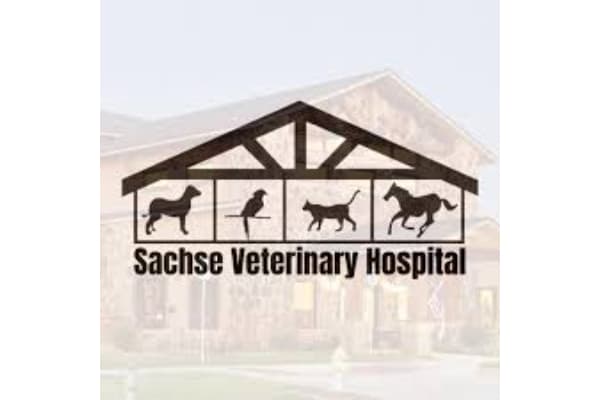 Sachse Veterinary Hospital
