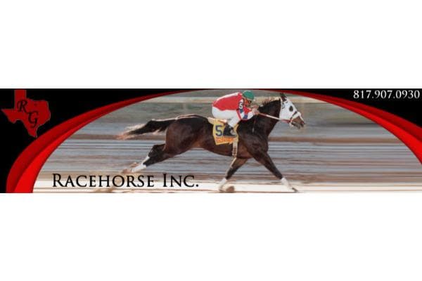 RaceHorse Inc