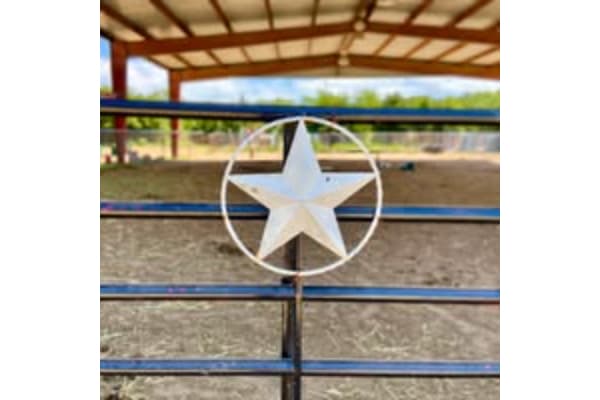 Western Star Stables