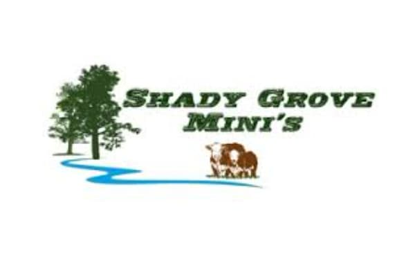 Shady Grove Minis