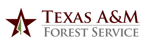 Luke Kanclerz (Texas A&M Forest Service)
