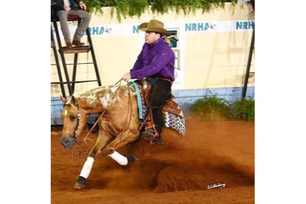 Sobral Performance Horses