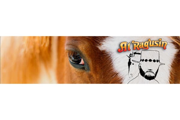 Al Ragusin