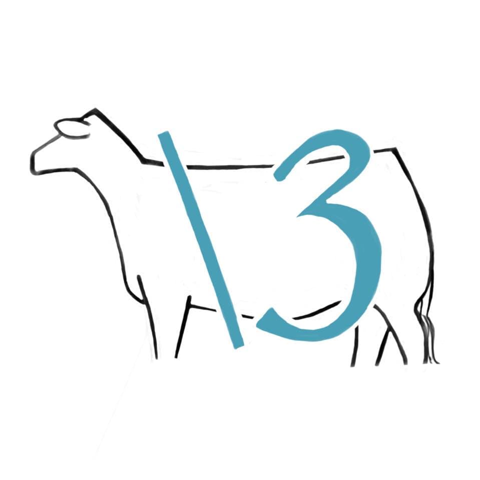 Buena Vida Cattle Company