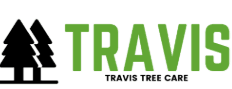Travis Tree Care