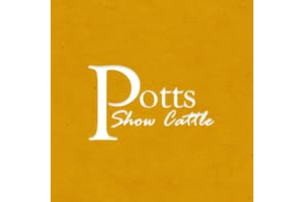 Potts Show Cattle