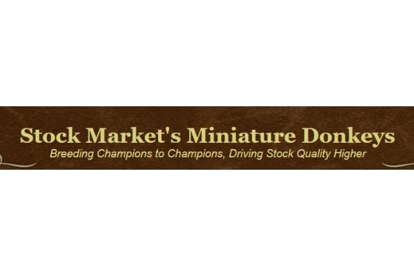 Stock Market's Miniature Donkeys
