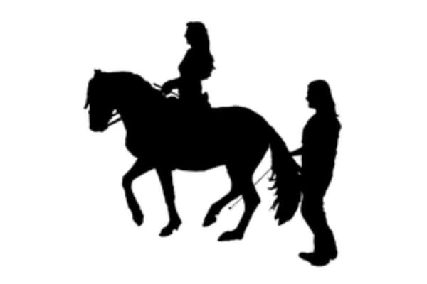 Stress Free Dressage