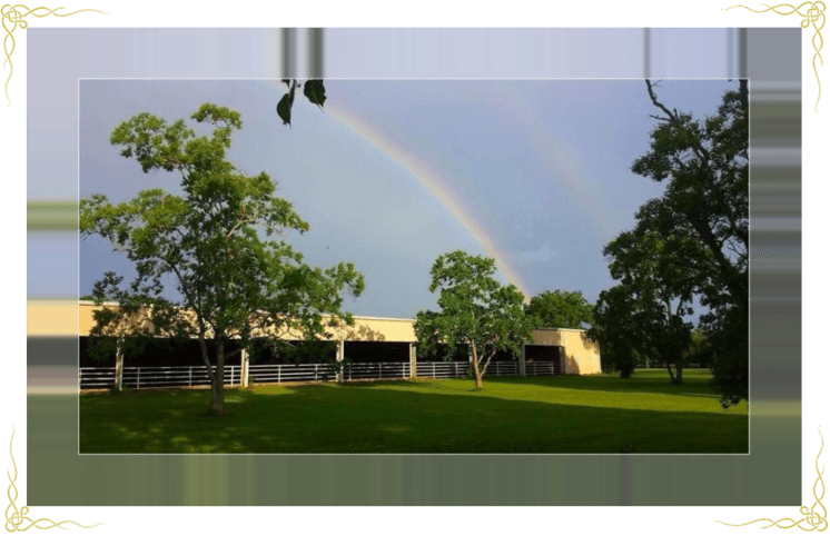 Dawson Equestrian Center