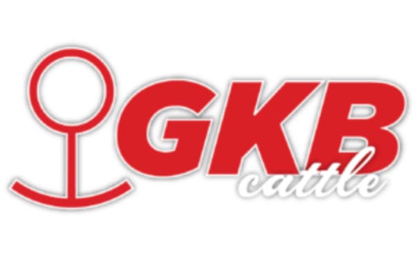 GKB Cattle