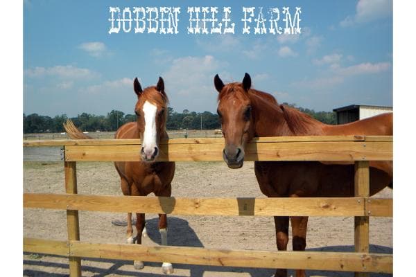 Dobbin Hill Farm