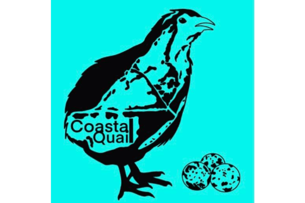 Coastal Quail