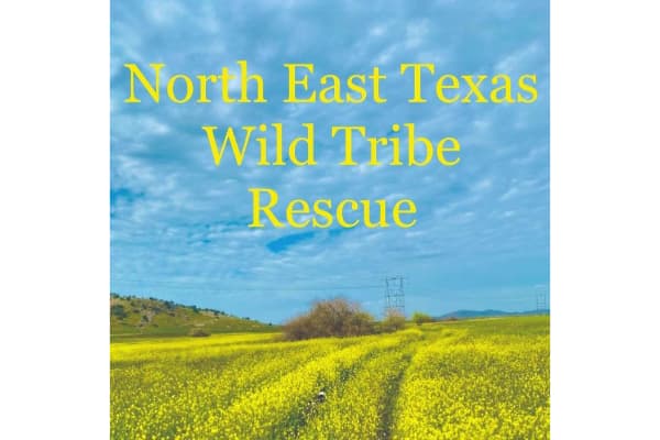 North East Texas Wild Tribe Rescue Inc.