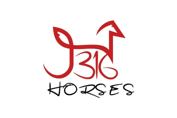 J316 Horses