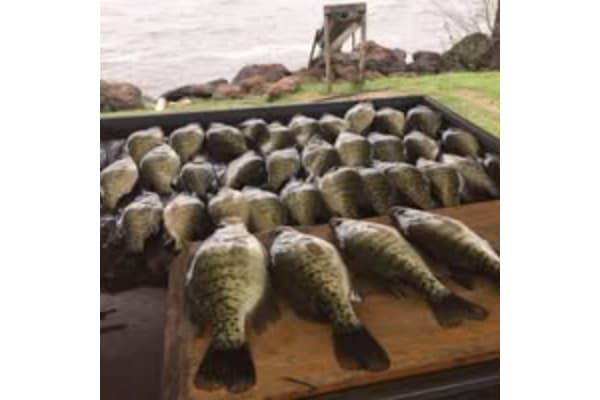 Baxter's Guide Service