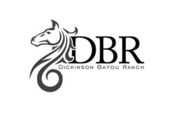 Dickinson Bayou Ranch